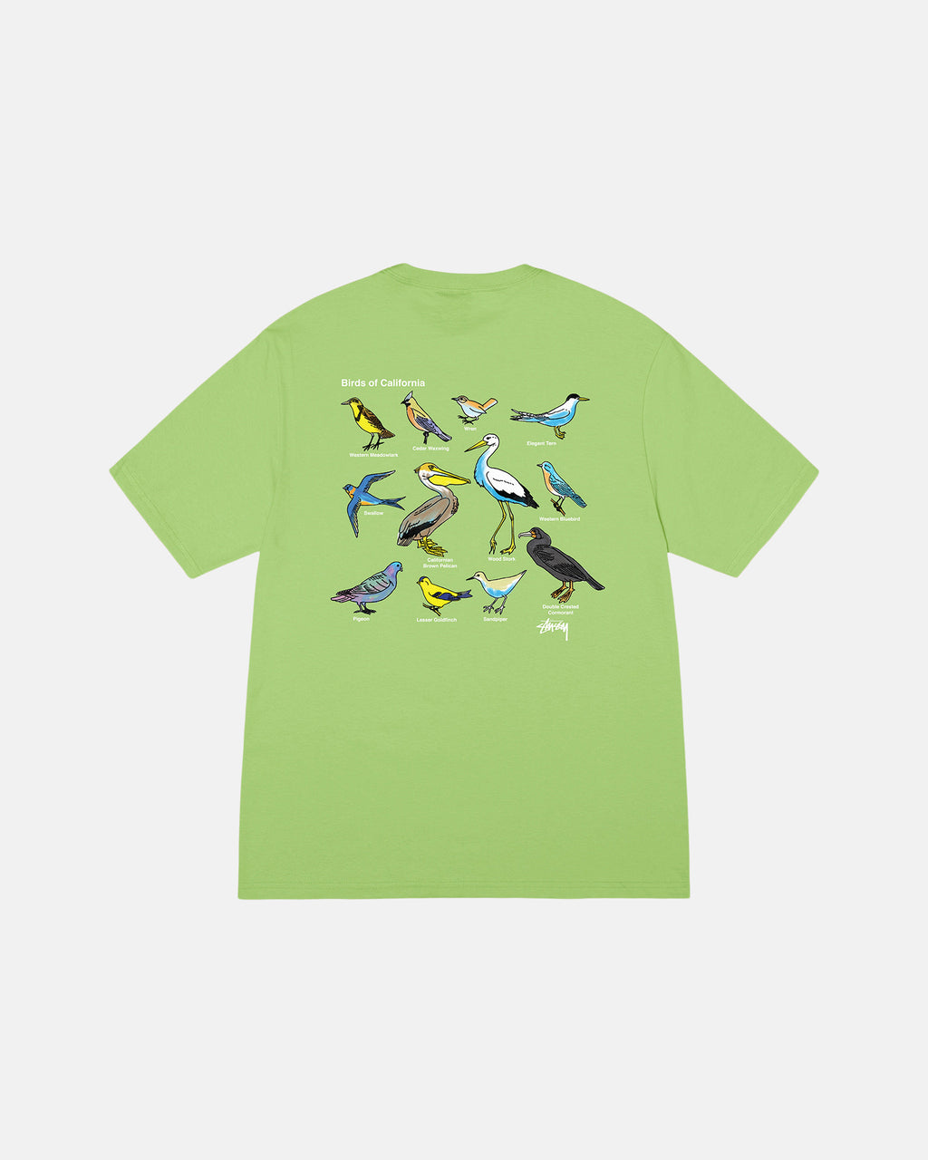 Stussy California Birds Løbe T-shirt Tea | 6703RNISX