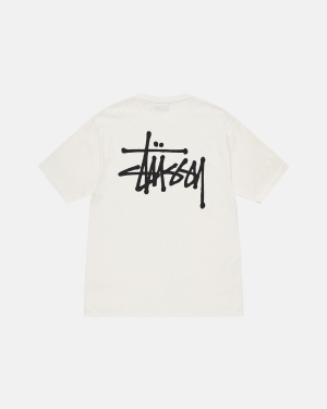 Stussy Basic Pigment Dyed Løbe T-shirt Beige | 1563DCWSZ