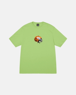 Stussy Ladybug Løbe T-shirt Tea | 2930NCVKX