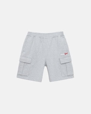 Stussy Sports Fleece Shorts Grå | 4376XSGCM