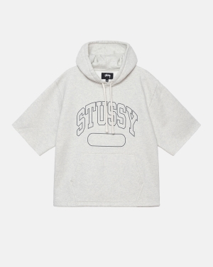 Stussy Ss Boxy Cropped Hættetrøje Grå | 8971ROMIG